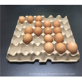 Bio-degradable paper egg tray chicken egg 30 eggs packers